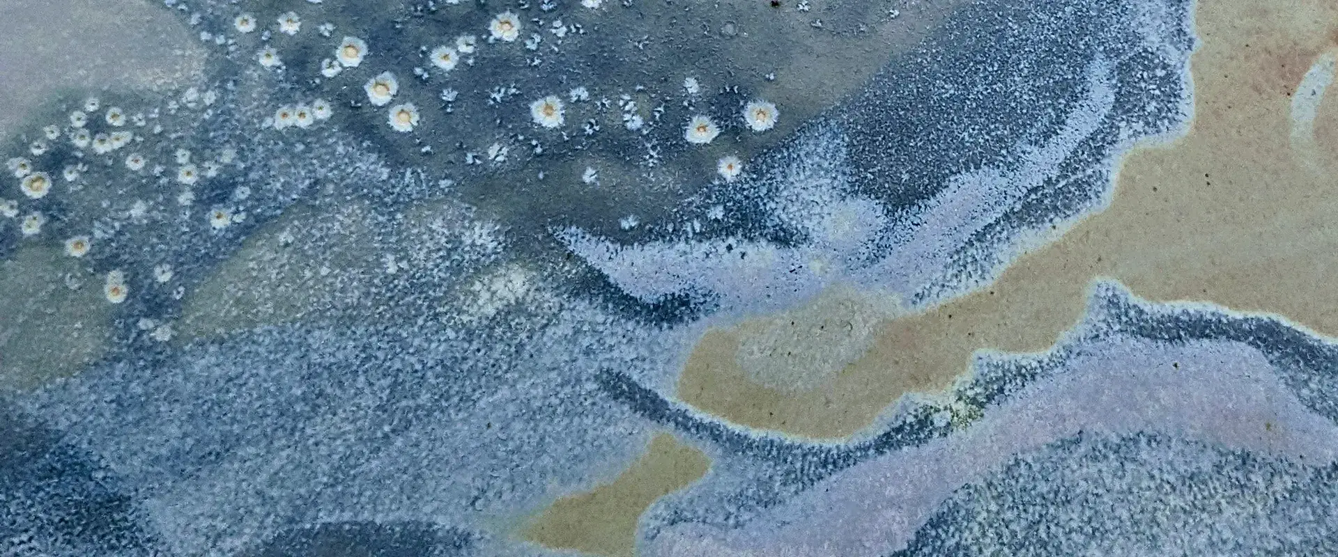 Créations de la céramiste Mounia Guénatri